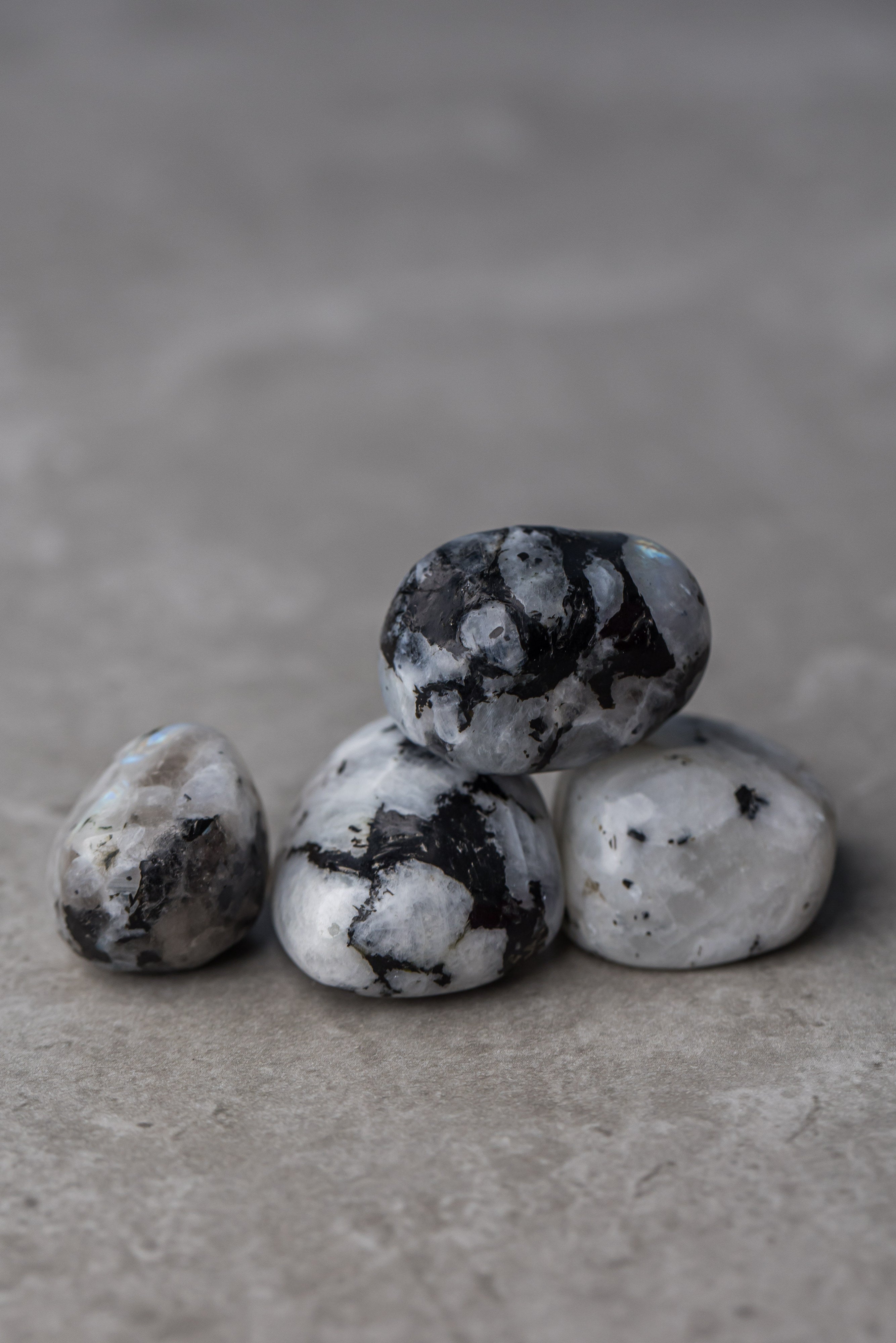 Rainbow Moonstone - Nurturing Stone for Intuition and Emotional Balance - Everyday Rocks